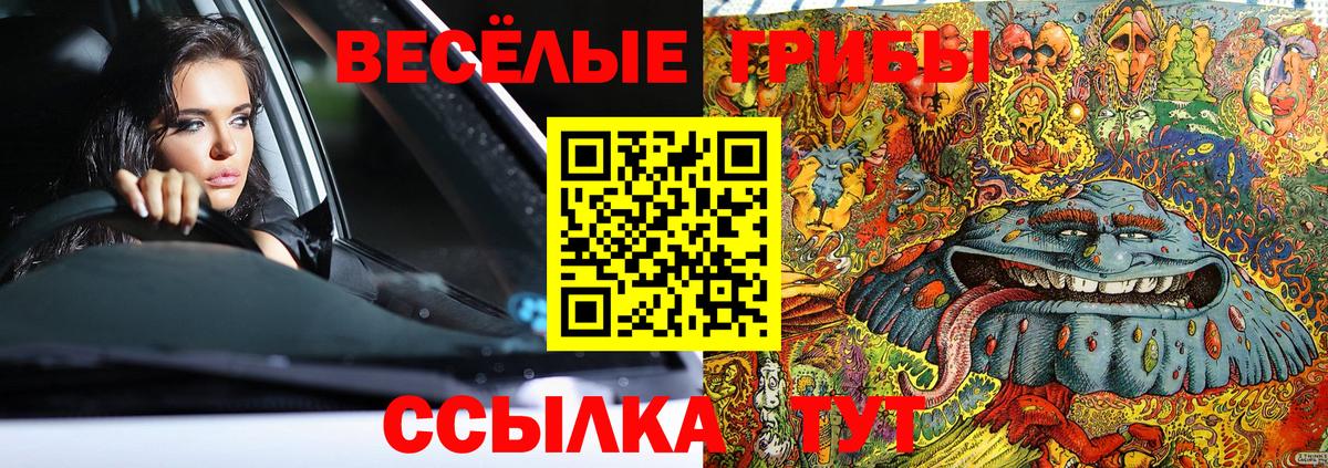 Псилоцибиновые грибы Magic Shrooms  Псилоцибиновые грибы Cubensis  Вход с VPN  Липецк 